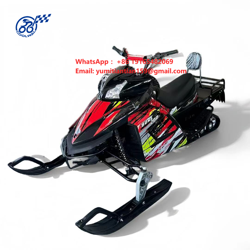 Electric Snowmobile Double Sea - огляд і ціна Outdoor Adventure Vehicles